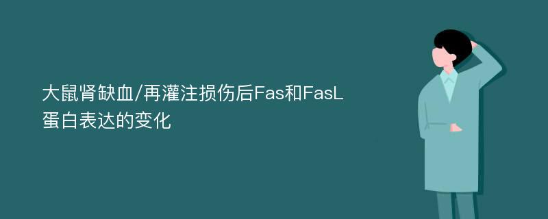 大鼠腎缺血/再灌注損傷后Fas和FasL蛋白表達(dá)的變化