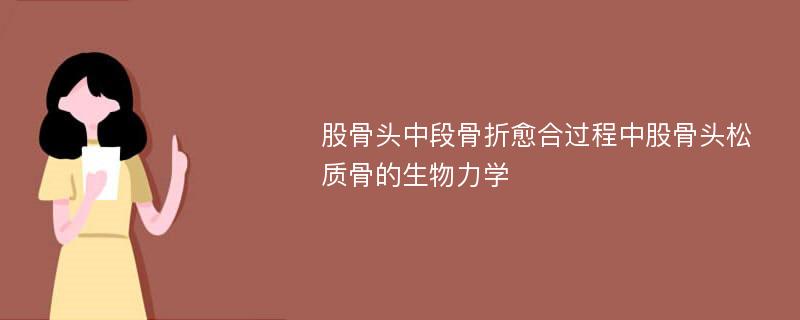 股骨頭中段骨折愈合過(guò)程中股骨頭松質(zhì)骨的生物力學(xué)