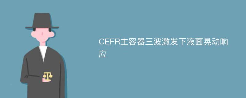 CEFR主容器三波激發(fā)下液面晃動響應