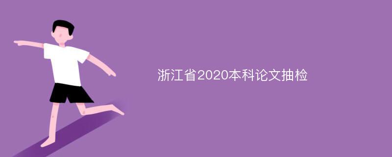 浙江省2020本科論文抽檢