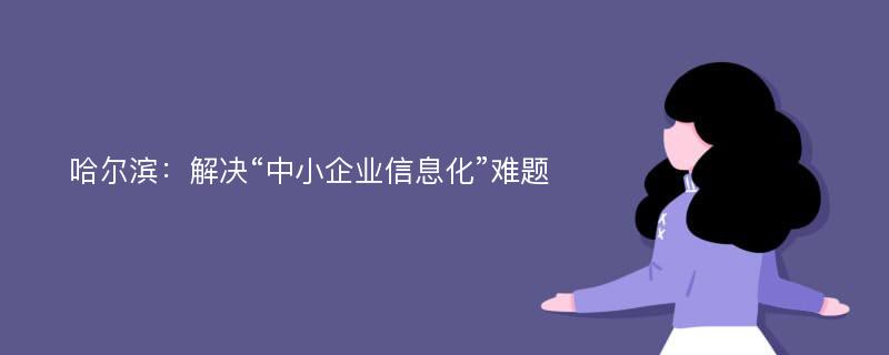 哈爾濱：解決“中小企業(yè)信息化”難題